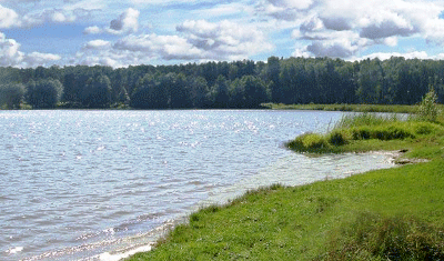 ���������� ��������� �������� � �������������